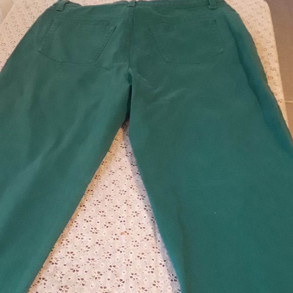 Gloria Vanderbilt Green long pants - Picture 2 of 4